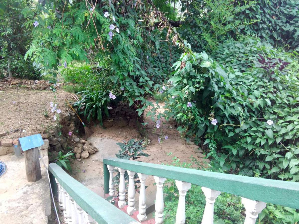 Green View אלה מראה חיצוני תמונה