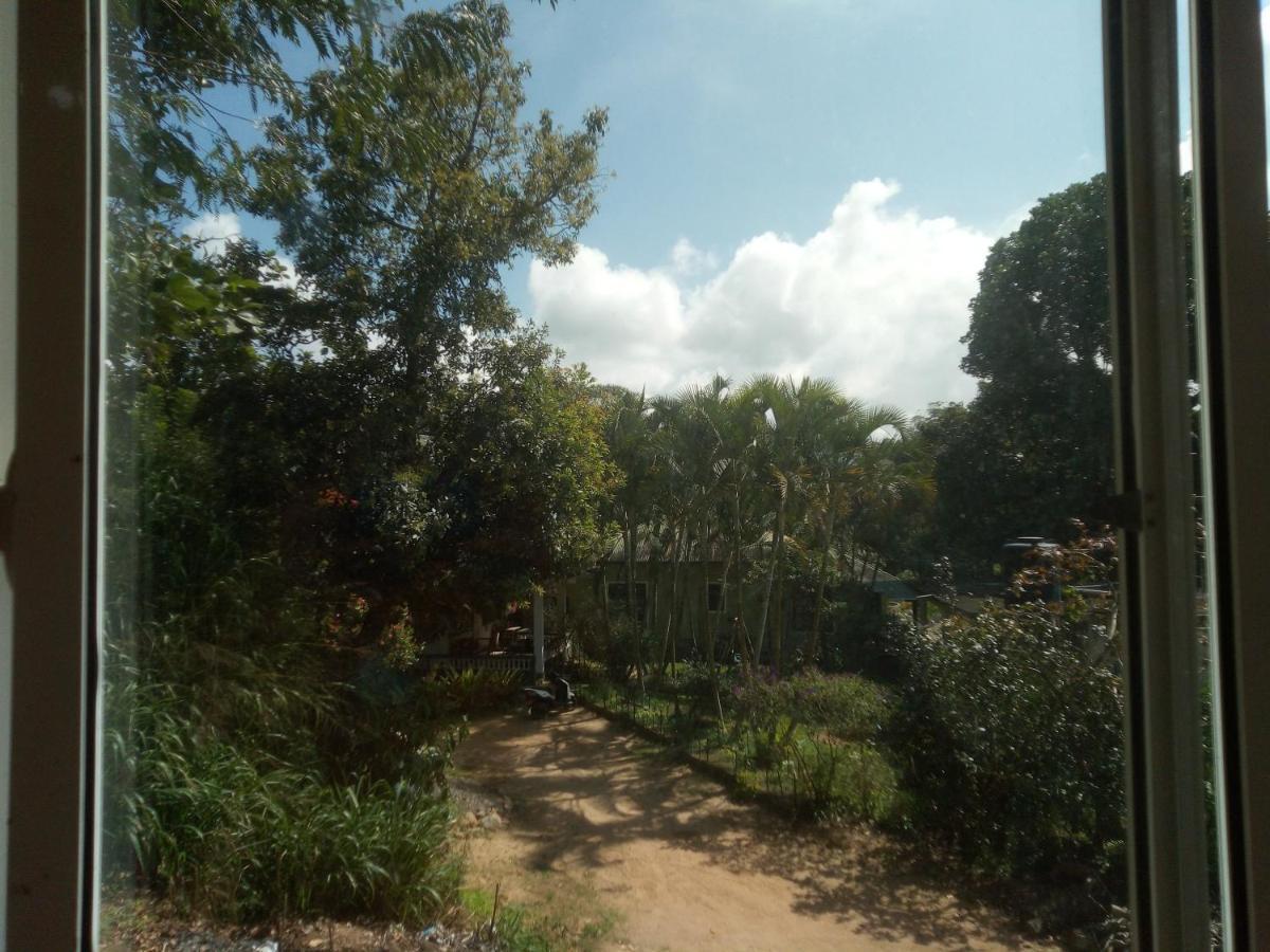 Green View אלה מראה חיצוני תמונה